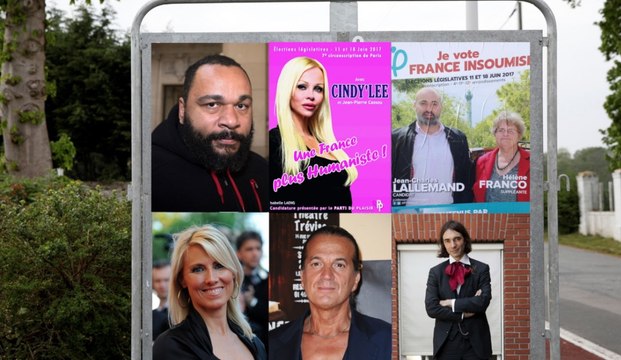 Les candidatures les plus loufoques des législatives
