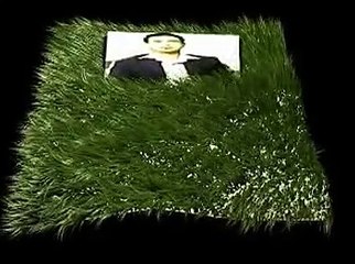 Grass animation by 3ds max.