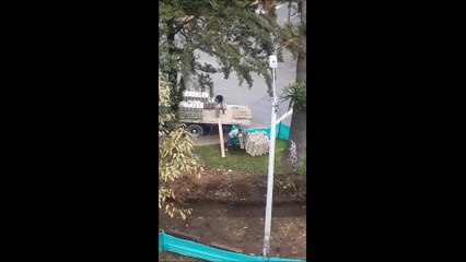 Travaux Sucre Méthode déchargement