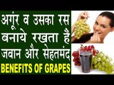 अंगूर व उसका रस करता है कई रोगों को दूर | Health And Beauty Benefits Of Grapes In Hindi