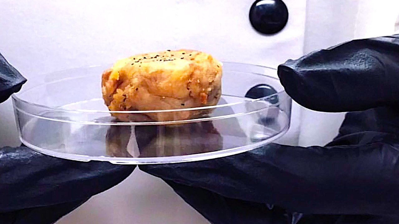3 Mind-Blowing Ways Food Is Being Created in Labs