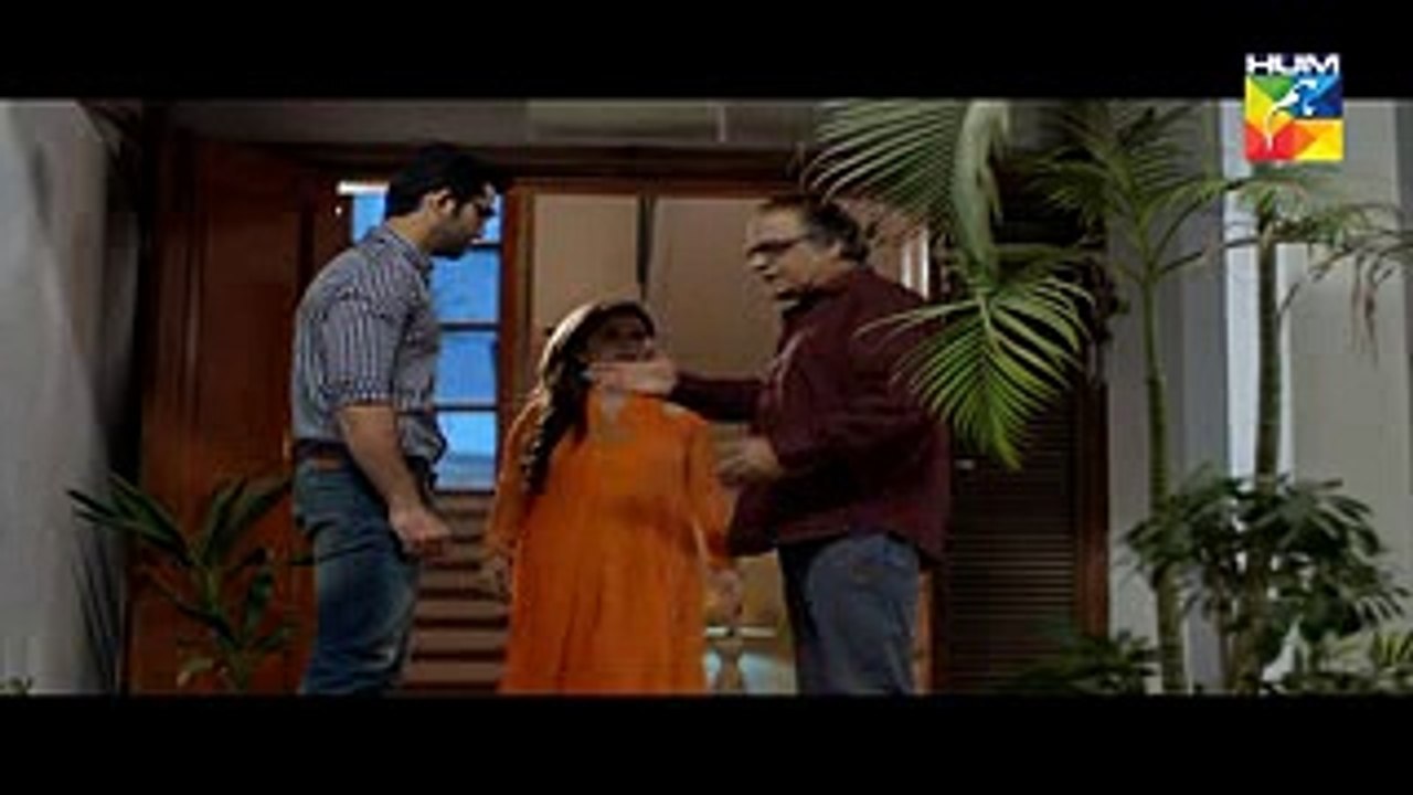 Mohabbat Khawab Safar Episode 10 - 23rd May 2017