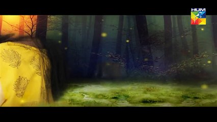 Mohabbat Khawab Safar Episode 10 HUM TV 23 May 2017