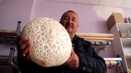 Kızıldağ Eteklerinde 4 Kilogramlık Mantar Bulundu