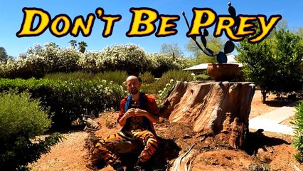 Predators and Prey - Don't Get Eaten by Society