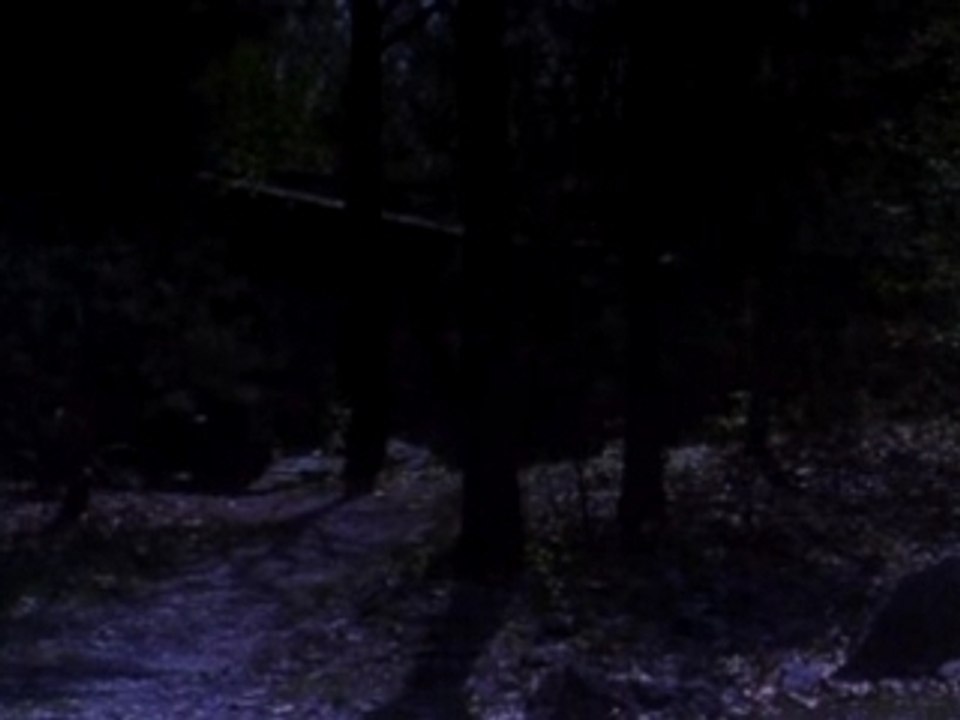 Fairy Tale_2