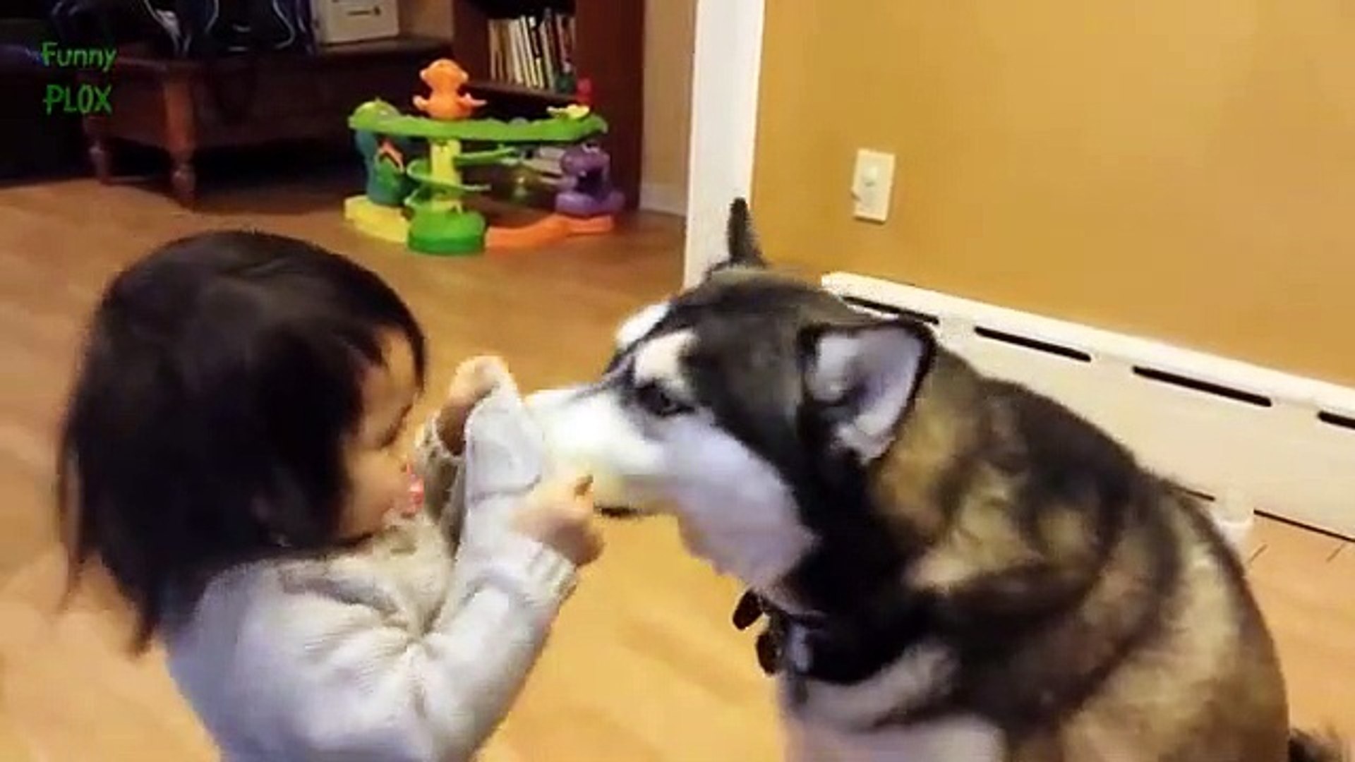 Funny Babies Riding Dogs C