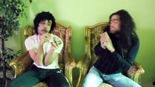 ' شادى سرور فنان