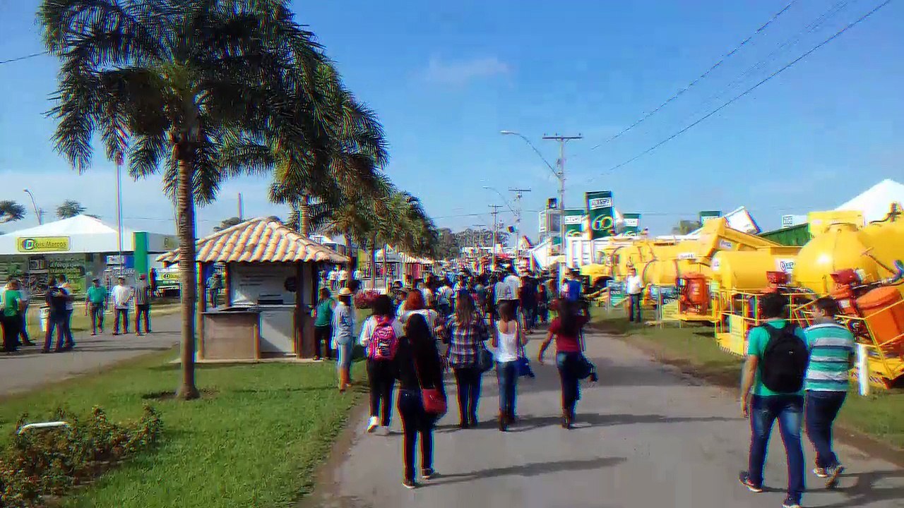 Stella dos cherubins - Vídeo Agrobrasília_ 3°B **2017**