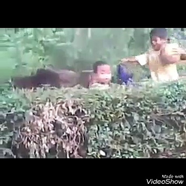 Kids playing with dog