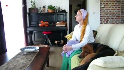 Perro hace un dueto musical increíble con la televisión