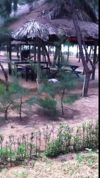 Khu Biệt thự Resort Zenna Phước Tỉnh