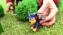 Paw Patrol Toys - SkE HOUSE  Construction Trucks Stories for Childre