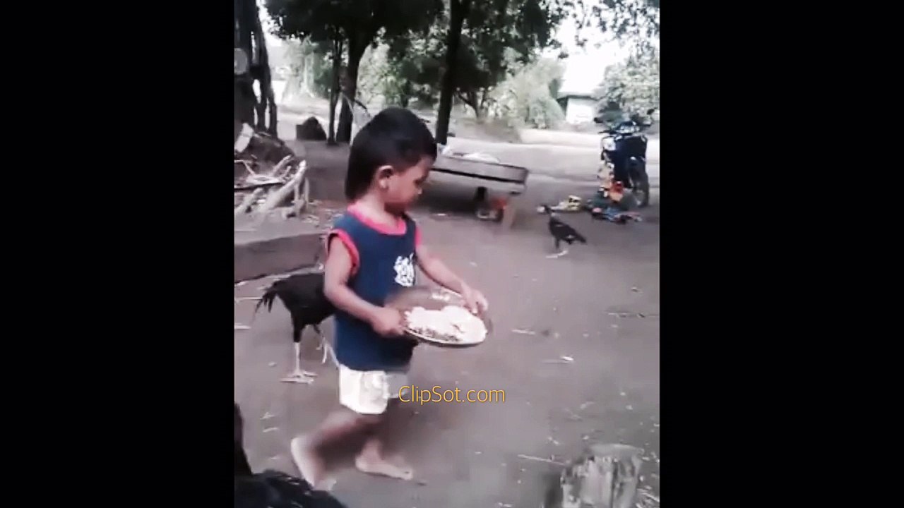 The baby is crying because the chicken robbed food - 鶏は食べ物を奪ったので、赤ちゃんは泣いています - बच्ची रो रही है क्योंकि चिकन ने लूट लिया भोजन
