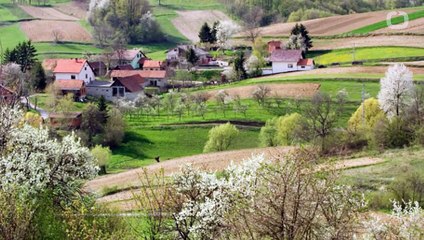 City life Tough on Teen Mental Health