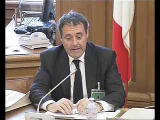 Roma - Audizione RSE Spa (23.05.17)