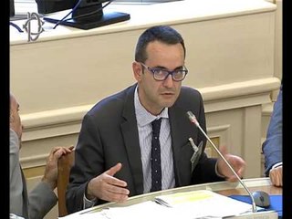 Roma - Audizioni di Ispra, Assoarpa e Isde (23.05.17)