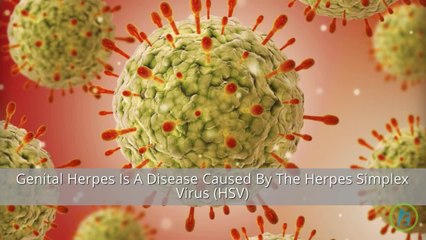 The Basics About Genital Herpes