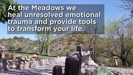 Why The Meadows Works
