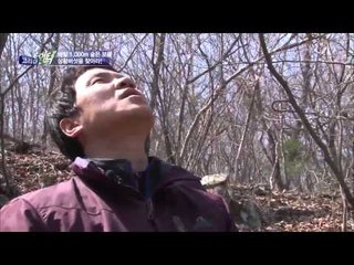 해발 1000m에서 찾는 귀물 상황버섯 | 코리아헌터 70회