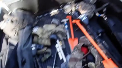 Forest Metal Detecting