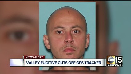 Alert issued after convicted sex offender cuts GPS monitor