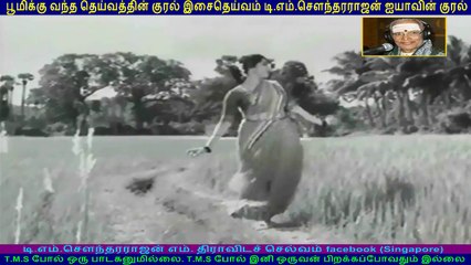 Kodi Malar 1966   TM Soundararajan Legend