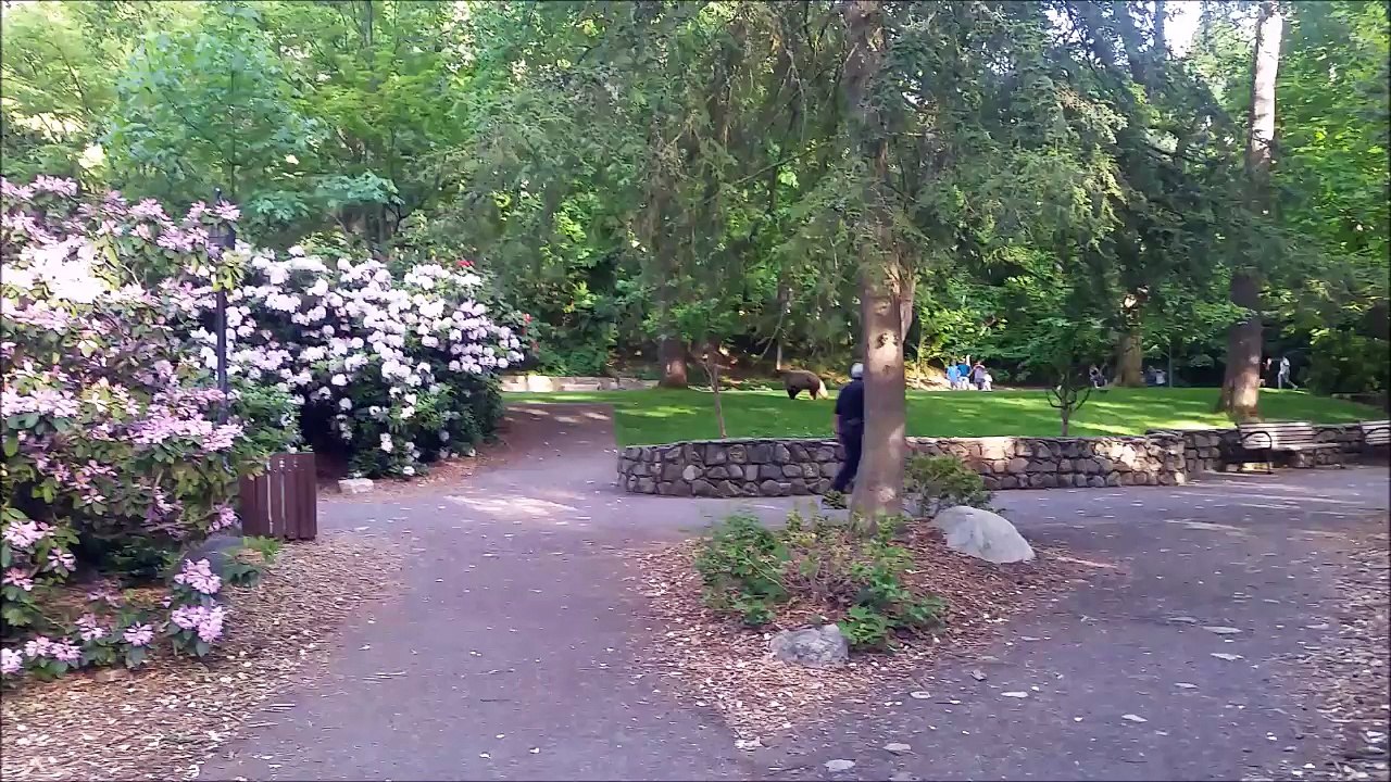 Quand tu rencontres un gros ours dans un parc public... Ouahhh