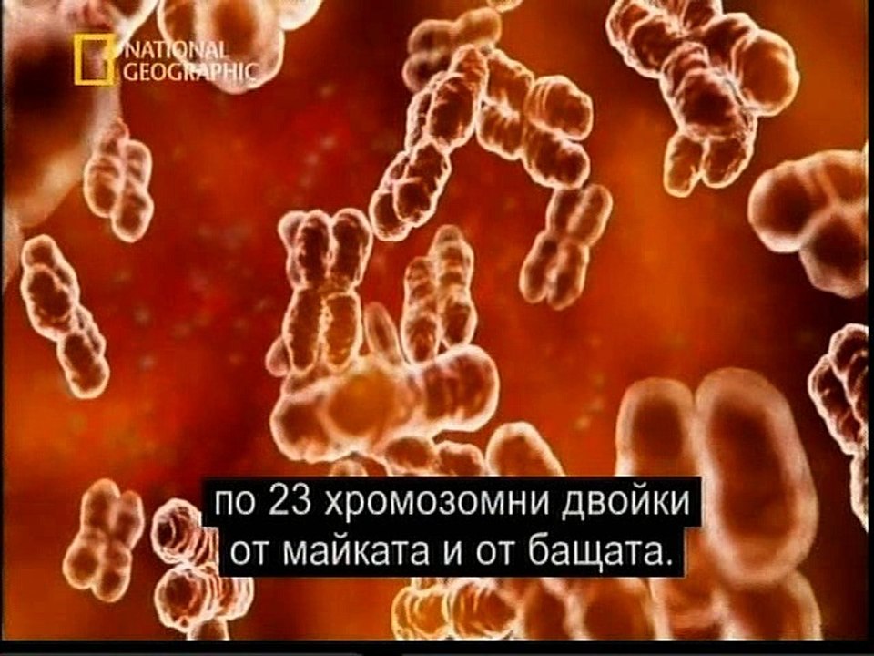 Тайната На Раждане То