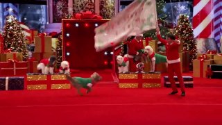 Olate Dogs - Dogs Do Flips and Perform Holiday Tricks - America's Got Talent 2016-aXFXGEtpi3k
