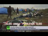 Interpreter raped by alleged Afghan migrants near Calais ‘Jungle’ camp