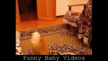 Funny Baby Vieos That Will Make You Laugh Part3 - YouTube