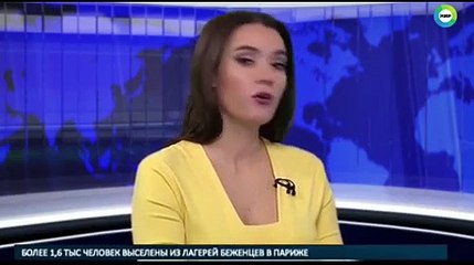 Watch – Dog interrupts female anchor in live broadcast