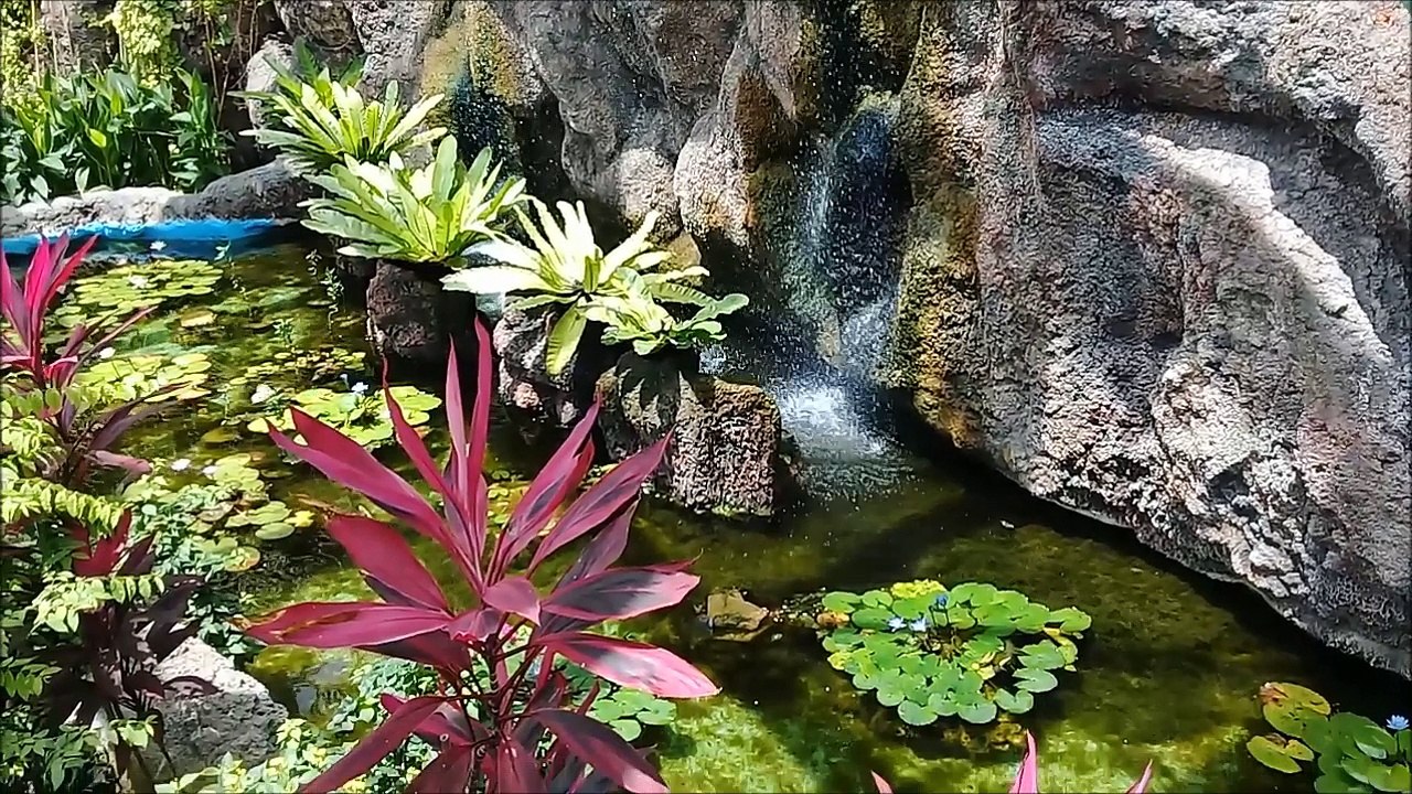 KELEBEKLER VADİSİ.