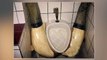 Top des toilettes insolites (Topito)-tDppR7Ux3nw