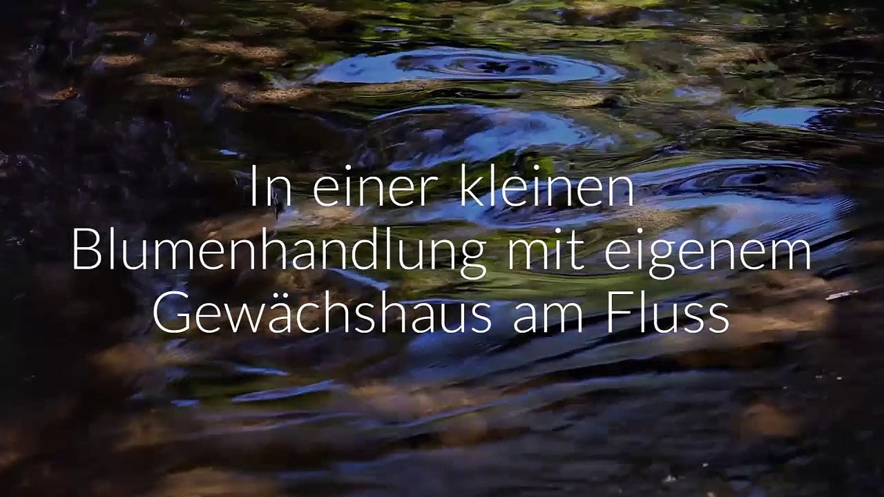 Rotblaue Nelken - Novelle von Wolfgang A. Gogolin