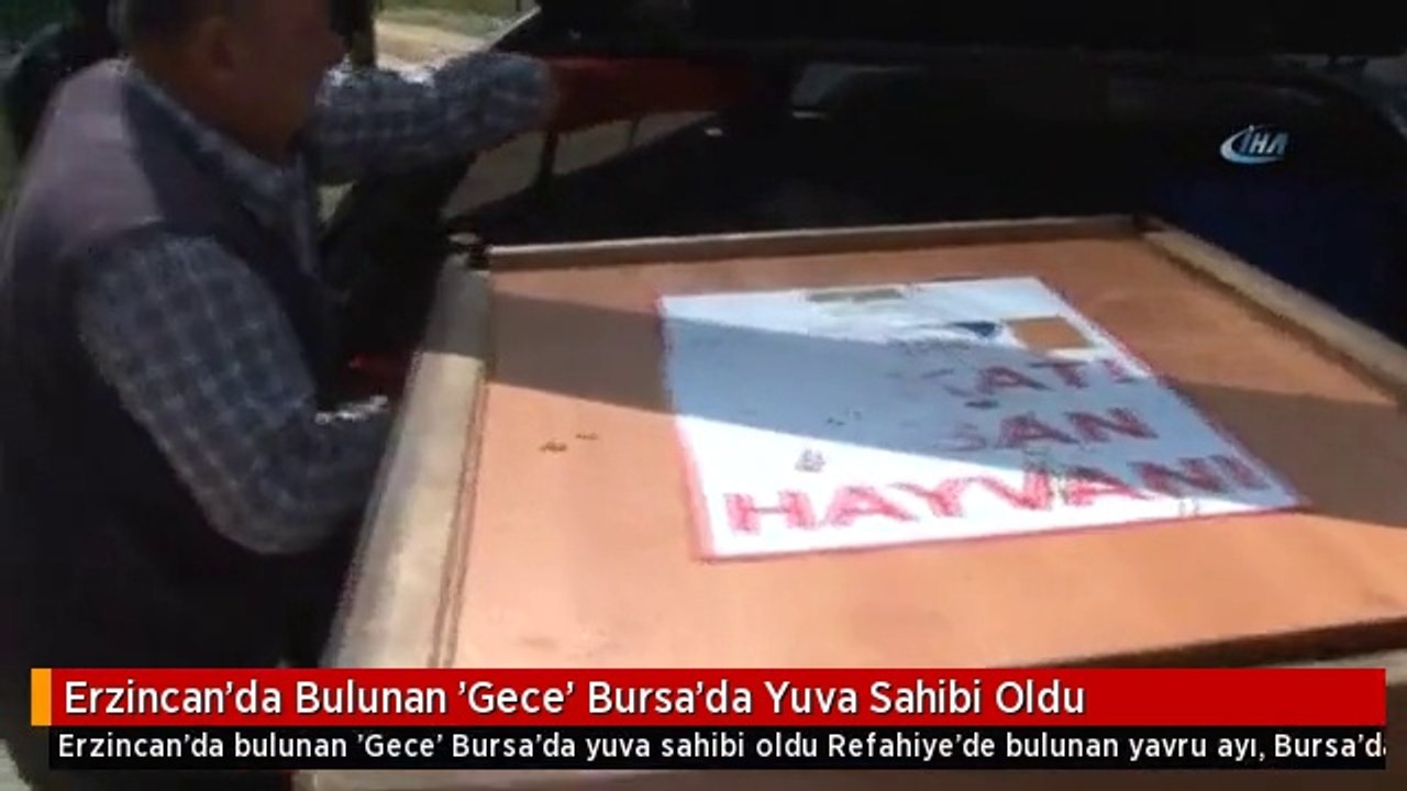 Erzincan'da Bulunan 'Gece' Bursa'da Yuva Sahibi Oldu