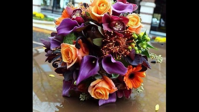 cheb Fouez ( lehwa wedherer ) , الشاب فواز ( لهوى و ذرار )