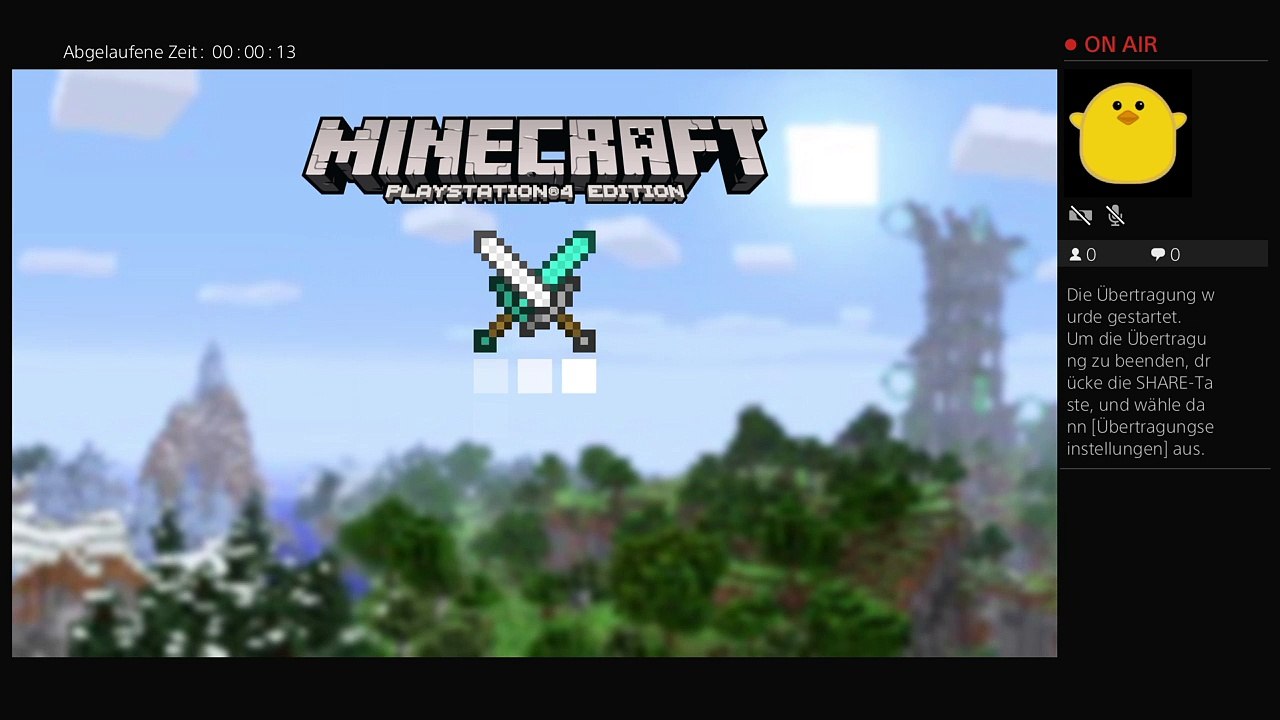 Minecraft (2)