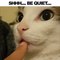 Quand t'embetes ton chat qui tire la langue... Adorable