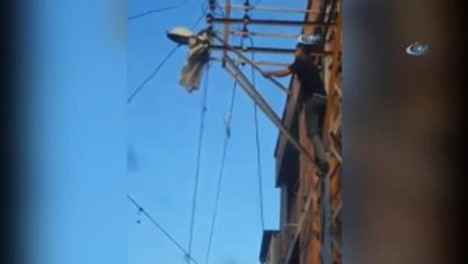 Canını Hiçe Saydı, Elektrik Direğine Tırmanıp Ayağı Takılan Güvercini Kurtardı