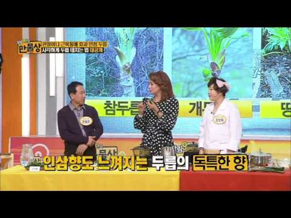 사각하게 두릅 데치는 법 대공개 [살림9단의 만물상 50회]