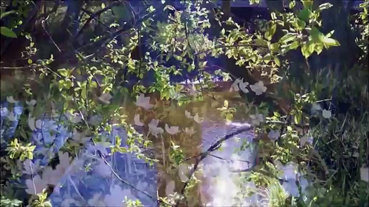 Grup Alzaymır - Bahar Gelsin