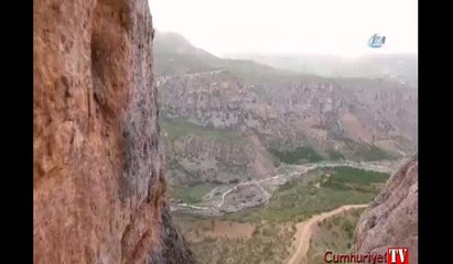 Metrelerce yüksekte amuda kalktı