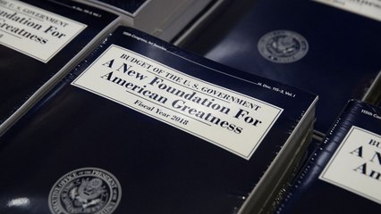 Donald Trump's budget cuts