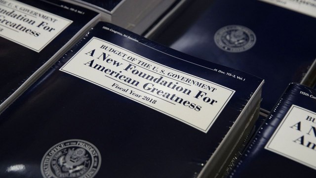 Donald Trump's budget cuts