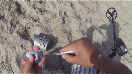 Beach Coin Finder