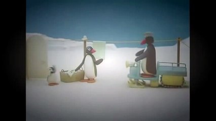 Pingu Episodes Full In English - Pingu Cartoon Full Episodes - 10 to 15 HD
