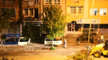 Gece Yarısı Ağaç Kesme Operasyonu