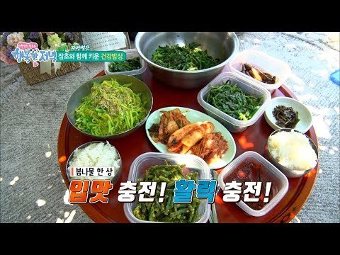 활력 충전! 잡초와 함께 키운 자연 밥상! [행복한 저녁] 27회 20170524